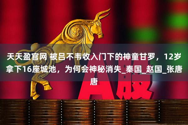 天天盈官网 被吕不韦收入门下的神童甘罗，12岁拿下16座城池，为何会神秘消失_秦国_赵国_张唐