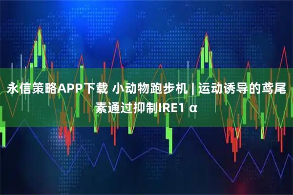 永信策略APP下载 小动物跑步机 | 运动诱导的鸢尾素通过抑制IRE1 α