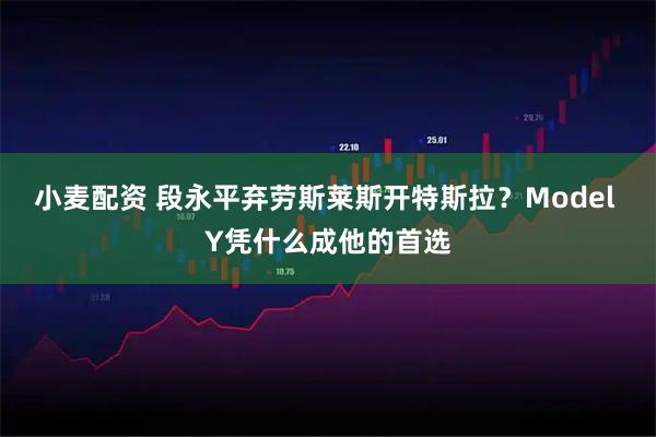 小麦配资 段永平弃劳斯莱斯开特斯拉？Model Y凭什么成他的首选